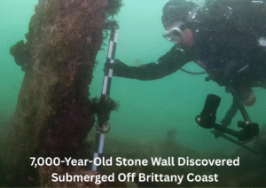 7,000-Year-Old Submerged Stone Wall Found Off France’s Brittany Coast