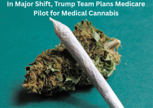 Trump Administration Prepares Major Shift in Federal Cannabis Policy With Medicare Pilot Plan