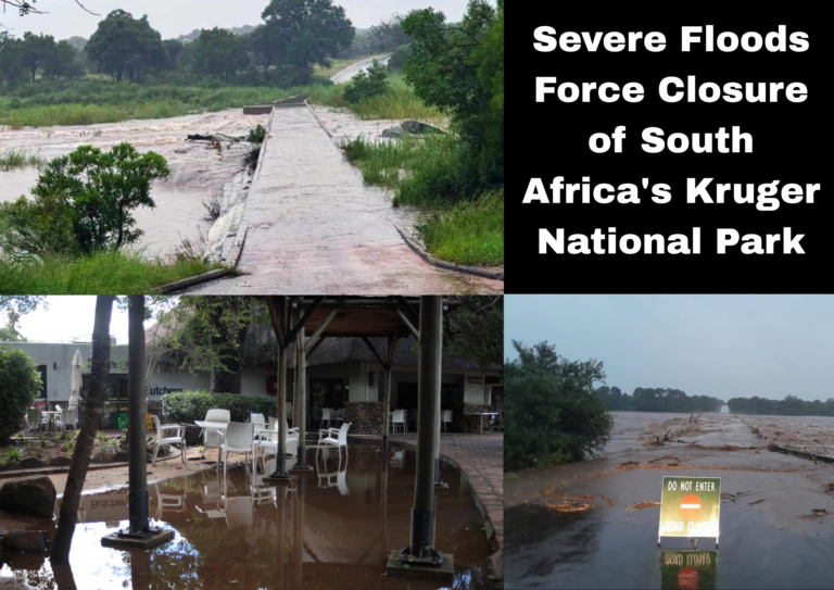 Severe Flooding Prompts Full Closure of Kruger National Park as Storms Batter Southern Africa