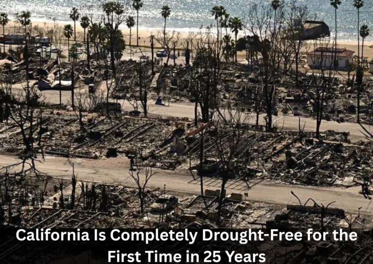 California Marks First Completely Drought-Free Status in 25 Years